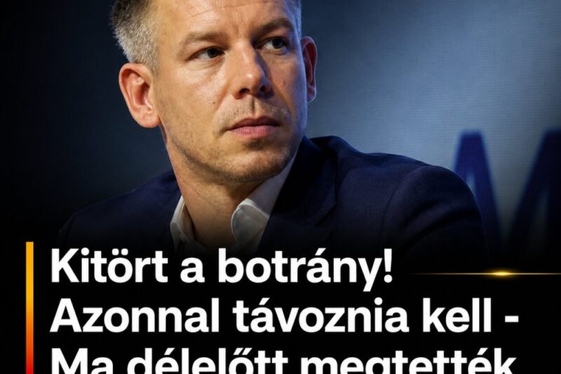 Megérkezett az első komoly bírálat Magyar Péterhez