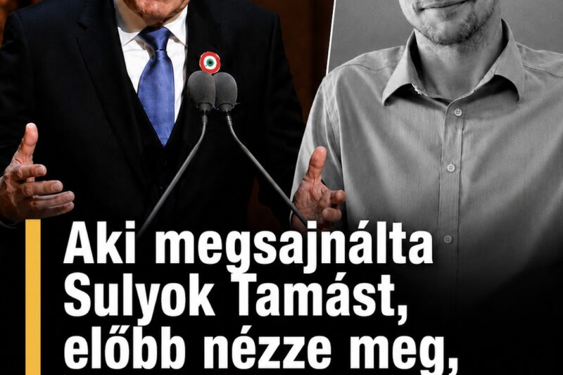 Aki most sajnálja Sulyok Tamást, olvassa el, mit tett Karsai Dániellel és más áldozatokkal