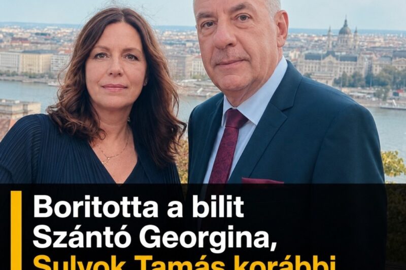 Boritotta a bilit Szántó Georgina, Sulyok Tamás korábbi kommunikációs igazgatója.Nagyon durva dolkok derültek ki