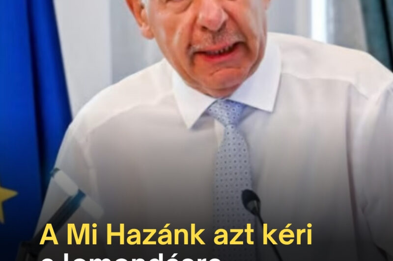Sulyok Tamáshoz fordult a Mi Hazánk: ezt kérik most az államfőtől