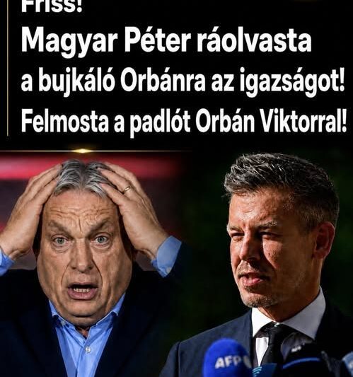 Magyar Péter ráolvasta a bujkáló Orbánra az igazságot!Felmosta a padlót Orbán Viktorral – Ez eddig a legkeményebbkritika