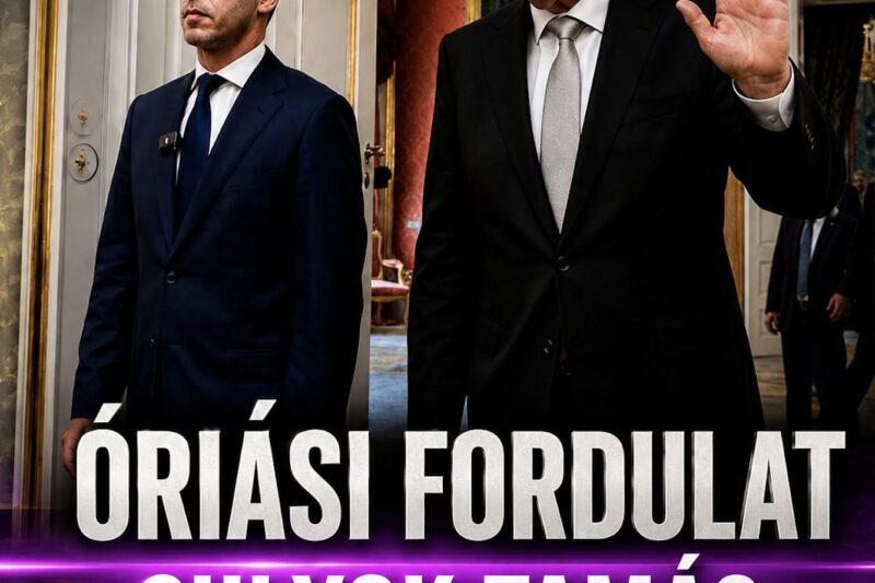 ÓRIÁSI FORDULAT SULYOK TAMÁS ÜGYÉBEN!