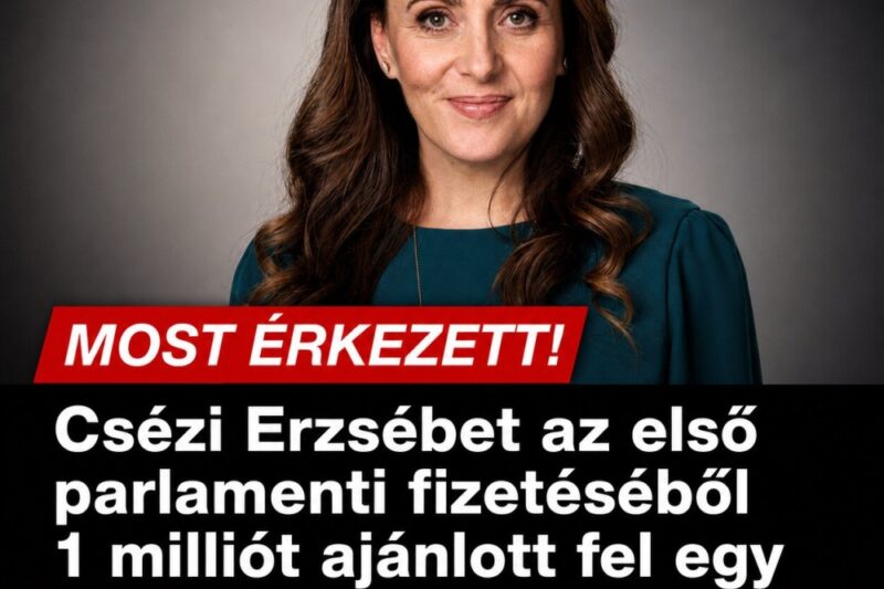 Csézi Erzsébet az első parlamenti fizetéséből 1 milliót ajánlott fel egy bölcsődének, de az önkormányzat rögtön… – MindenegybenBlog