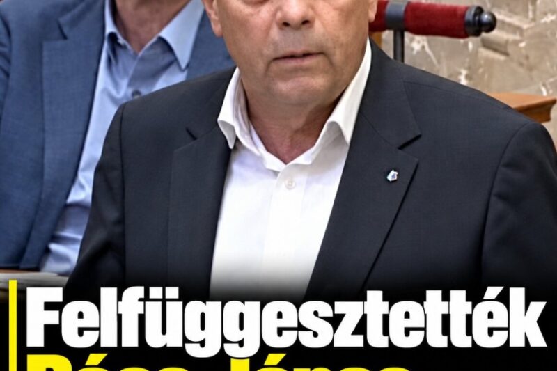 Felfüggesztették Pócs János mentelmi jogát: rágalmazási ügy áll a döntés mögött – MindenegybenBlog