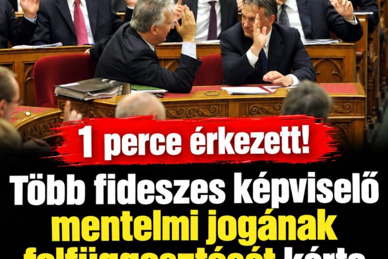 1 perce érkezett!Több fideszes képviselő mentelmi jogának felfüggesztését kérte a Központi Kerületi Bíróság! – FrissHír24 – frisshung.com